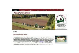 Annies Crannies First Website